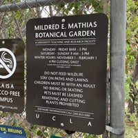 Photo taken at UCLA Mildred E. Mathias Botanical Garden by Nate F. on 6/15/2022