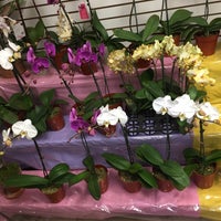Photo taken at Shannon Florist by Nate F. on 5/2/2015