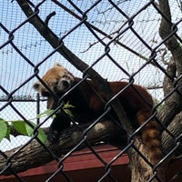 Foto diambil di Roosevelt Park Zoo oleh Nate F. pada 8/9/2019