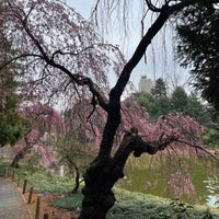 Photo taken at Japanese Garden by Nate F. on 3/27/2024