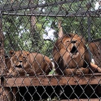 Das Foto wurde bei Roosevelt Park Zoo von Nate F. am 8/9/2019 aufgenommen