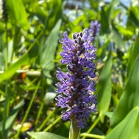 Photo taken at Lake Superior State Park by Nate F. on 7/24/2022