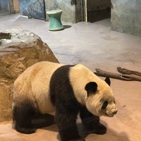 Photo taken at Giant Panda House by Nate F. on 2/21/2023