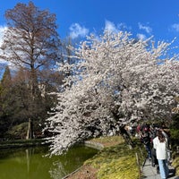 Photo taken at Japanese Garden by Nate F. on 4/7/2024