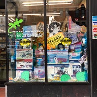 petland discounts brooklyn