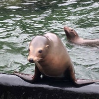 Photo taken at Sea Lion Court by Nate F. on 12/14/2019