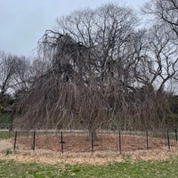 Photo taken at Fort Tryon Park by Nate F. on 3/9/2024