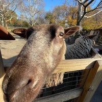 Photo taken at Domestic Animals Exhibit (Petting Zoo) by Nate F. on 11/21/2021