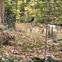Photo taken at Friends Cemetery (Quakers) by Nate F. on 11/7/2021
