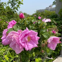 Photo taken at Brooklyn Bridge Park - Pier 6 by Nate F. on 5/24/2023