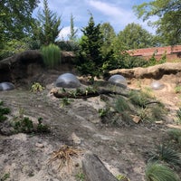 Das Foto wurde bei Black-Tailed Prairie Dogs von Nate F. am 9/18/2020 aufgenommen