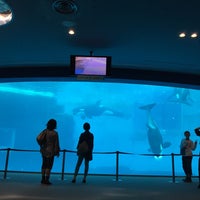 Photo taken at Port of Nagoya Public Aquarium by saonishi o. on 5/23/2015