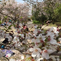 Photo taken at ロクハ公園 by saonishi o. on 4/9/2016