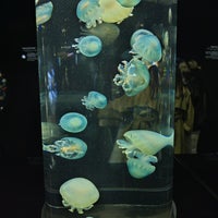 Photo taken at Kamo Aquarium by だーはら 片. on 12/3/2023