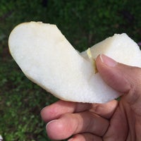 石井テル園 鎌ヶ谷市 0 Tips