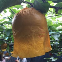 石井テル園 鎌ヶ谷市 0 Tips