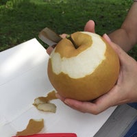 石井テル園 鎌ヶ谷市 0 Tips