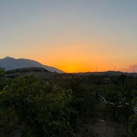 Das Foto wurde bei Datça Vineyard &amp;amp; Winery von barisch am 9/16/2023 aufgenommen