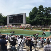 Photo taken at Tokyo Racecourse by S on 6/11/2016
