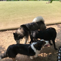 Photo taken at S Street Dog Park by Bill A. on 8/12/2018