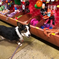 petsmart nicholson lane