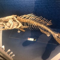 1/26/2020にCyrus B.がCambridge University Museum Of Zoologyで撮った写真