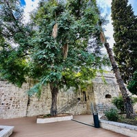 Photo taken at Limassol Castle by Darya on 12/8/2023
