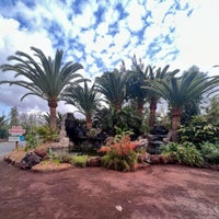 รูปภาพถ่ายที่ Oasis Park Fuerteventura โดย Janina เมื่อ 2/4/2023
