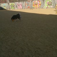 Photo taken at Arts District Dog Park by Mo R. on 9/24/2014