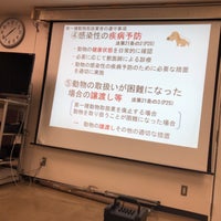 相談 動物 センター 都 愛護 東京