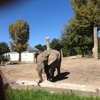 Miejski Ogrod Zoologiczny Nowa Praga Warschau Woiwodschaft