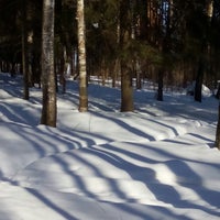 Пересвет пруд. Макаркин пруд в пересвете. Озеро в пересвете. Макаркин пруд в пересвете. Макаркин пруд в пересвете.