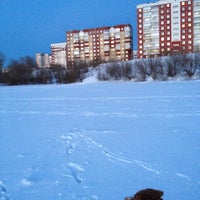 Photo taken at Выгул, Выпас by Ekaterina Tola on 3/12/2013