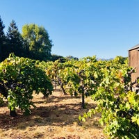 9/20/2018 tarihinde Michel T.ziyaretçi tarafından Madrone Estate Winery'de çekilen fotoğraf