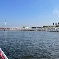 尼崎市立魚つり公園 Lugar De Pesca En Amagasaki Hyogo 尼崎市立魚つり公園 Lugar De Pesca En Amagasaki Hyogo