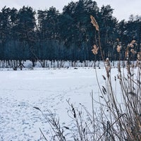 Photo taken at Ландшафтний заказник &amp;quot;Пуща-Водиця&amp;quot; by Anna S. on 1/29/2017