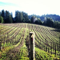 Photo taken at Flowers Vineyard And Winery by Ed T. on 1/14/2013