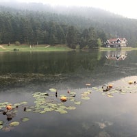 Photo taken at Gölcük Tabiat Parkı by Ezgi Y. on 9/30/2017