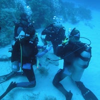 Photo taken at Hall&amp;#39;s Diving Center and International Diving Career Institute by Hall&amp;#39;s Diving Center and International Diving Career Institute on 12/22/2013
