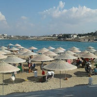 sakizli koy plaj evleri beach sakizli koy plaj evleri beach