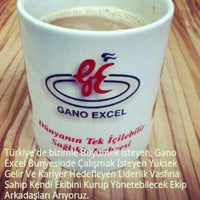 Gano Excel Adana 9 Visitantes