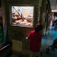 5/23/2023 tarihinde Lorena C.ziyaretçi tarafından San Antonio Zoo'de çekilen fotoğraf