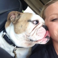pet palace hilliard reviews