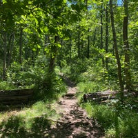 Photo taken at South Mountain Reservation by Tom S. on 6/19/2022