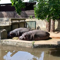 Photo taken at Riga Zoo by almyself on 7/16/2023