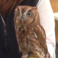 Mass Audubon Boston Nature Center And Wildlife Sanctuary Other Great Outdoors In Mattapan