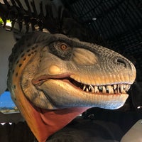 白山恐竜パーク白峰 白山市 石川県 白山恐竜パーク白峰 白山市 石川県