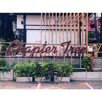 Foto tirada no(a) Chapter Tree Coffee House por Sahutsa I. em 4/14/2014