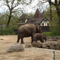Photo taken at Zoo Berlin by Kotya Z. on 5/3/2013