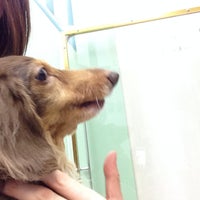 ガーデン動物病院 Now Closed Veterinarian In 目黒区